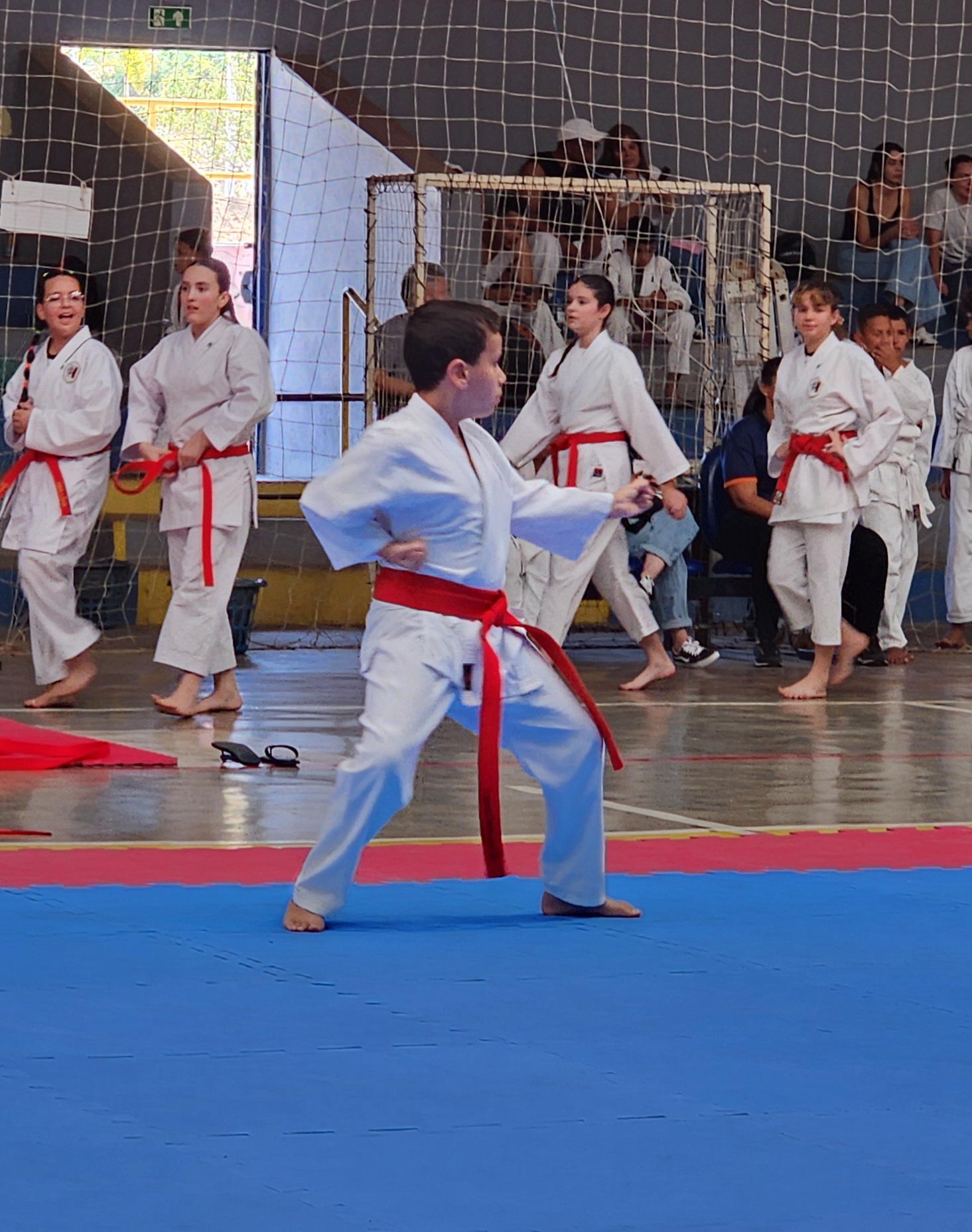 Ação de kumitê